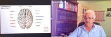 Load image into Gallery viewer, 2022 Dominic O'Brien Brain Training Class (世界级大师脑力培训班)